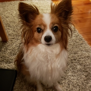 Fundraising Page: Amanda George